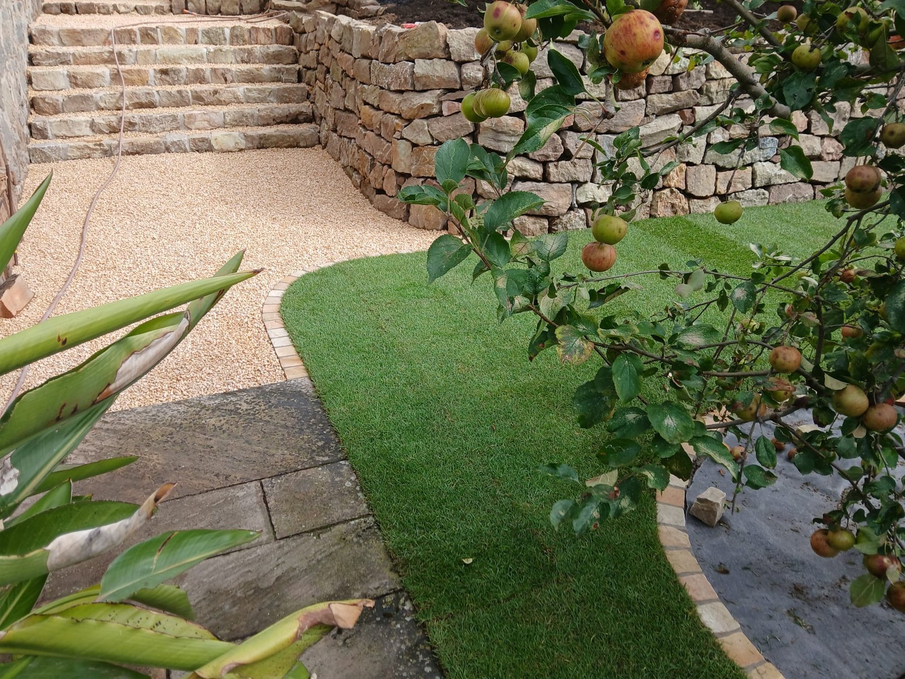 Gepflasterter Gartenweg mit Rasen, Baumscheibe und Sitzplatz