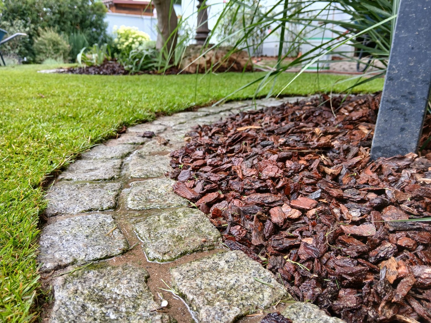 Echtes Kundenprojekt: Natursteinweg mit Rindenmulch und junger Bepflanzung