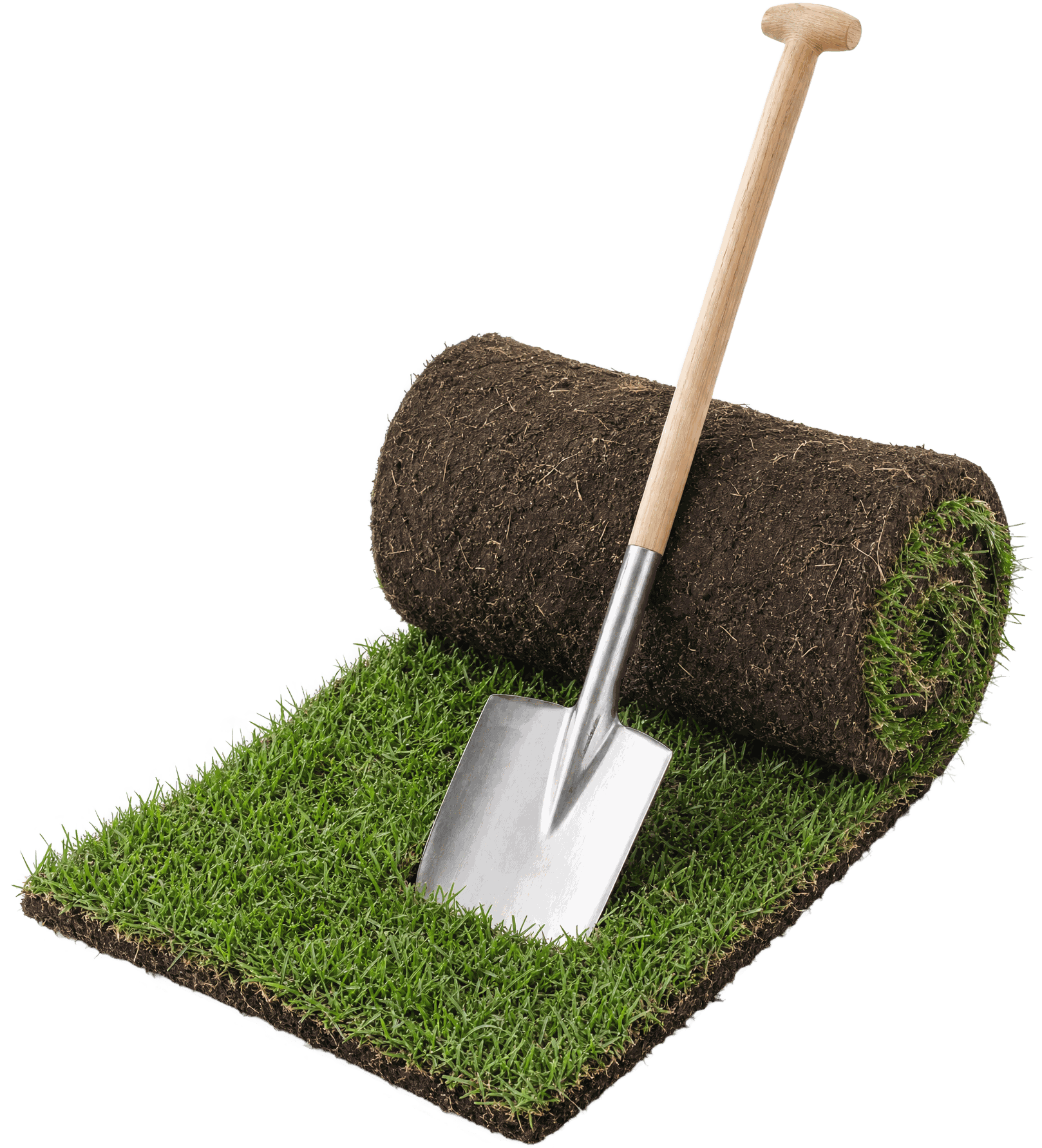 Freigestellte Rollrasen-Rolle mit Spaten (Illustration)